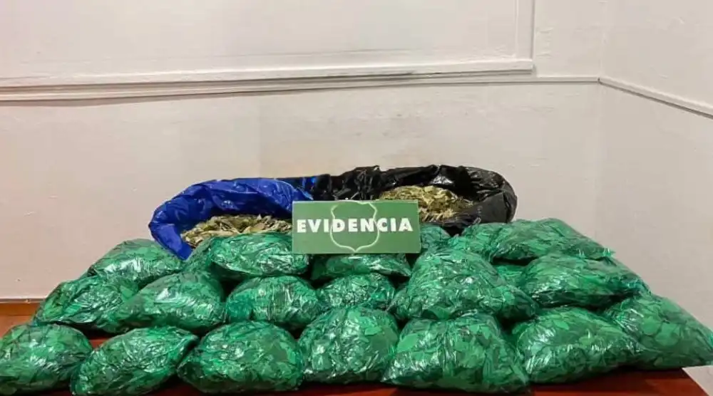 Carabineros Detiene A Dos Mujeres Por Comercializar Hojas De Coca En Las Inmediaciones Del Crea De Talca