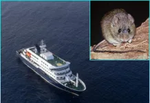 Confirman nuevos casos vinculados a brote de hantavirus en crucero MV Hondius crucero MV Hondius - aislado por brote de hantavirus-0