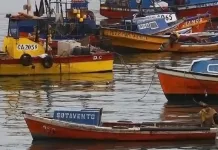 Cupon Pesca Artesanal Quienes Pueden Acceder Y Cuales Son Los Requisitos Para Recibir Hasta 600 Mil En Combustible