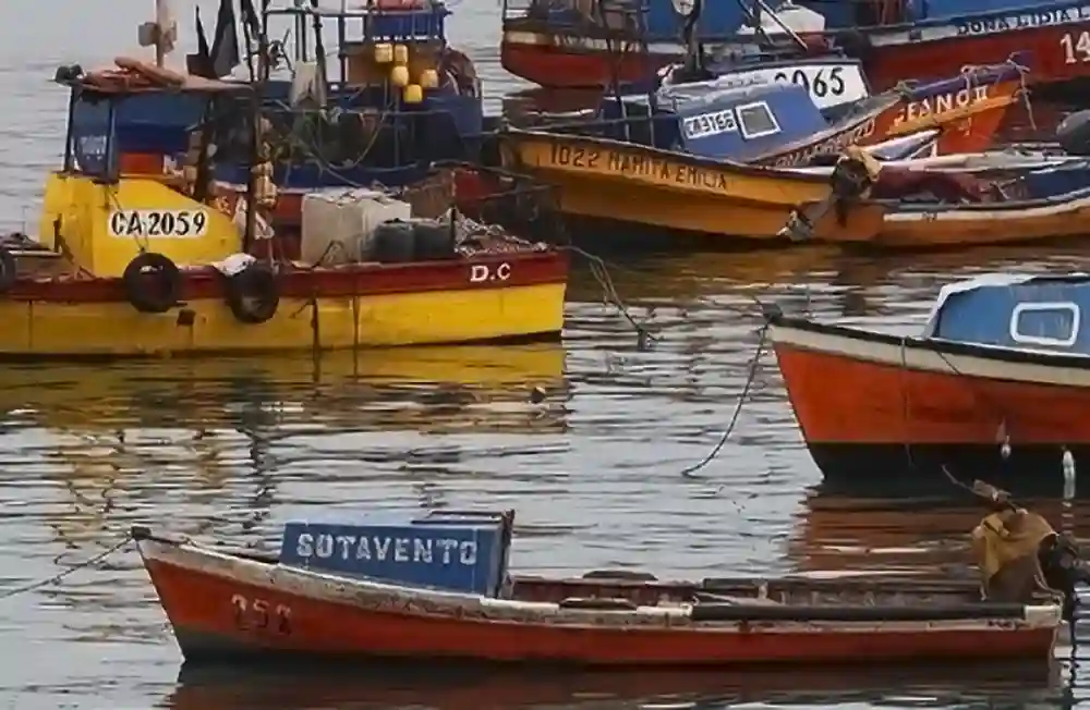 Cupon Pesca Artesanal Quienes Pueden Acceder Y Cuales Son Los Requisitos Para Recibir Hasta 600 Mil En Combustible