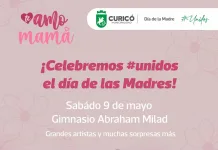 Municipio de Curicó prepara show artístico, feria de emprendedoras y horarios especiales en cementerio por el Día de la Madre grafica dia de la madre