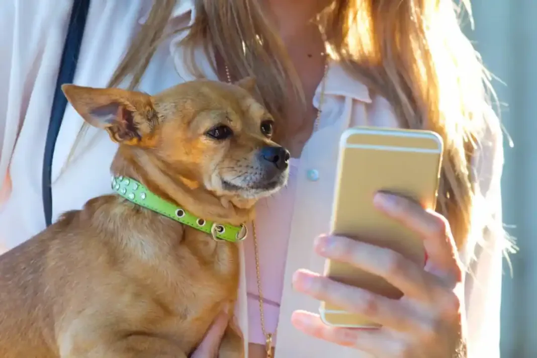 mascota-telefono-mujer