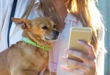 mascota-telefono-mujer