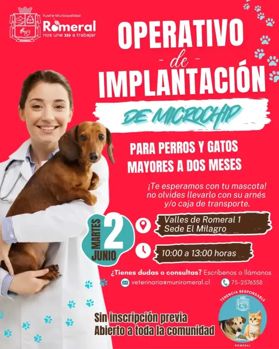Romeral Realizara Operativo Gratuito De Implantacion De Microchip Para Mascotas