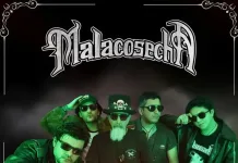 Banda curicana Malacosecha será parte de la celebración del Día Mundial del Skate en Curicó Banda Curicana - Malacosecha