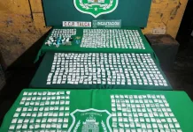 Allanamiento En El Penal De Talca Permite Incautar Mas De 1 600 Dosis De Droga Tras Jornada De Visitas