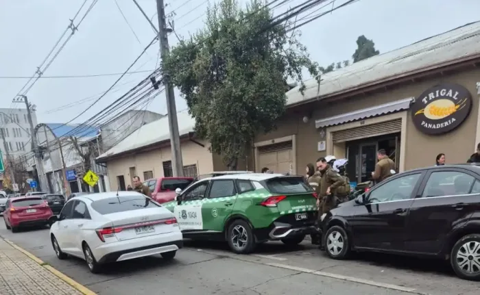 Carabineros De Civil Detienen A Sujeto Tras Robo Y Recuperan Especies Sustraidas En Curico 1