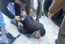Carabineros De Civil Detienen A Sujeto Tras Robo Y Recuperan Especies Sustraidas En Curico