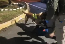 Carabineros decomisa más de 9 kilos de pasta base de cocaína en fiscalización a bus interurbano en Chimbarongo Carabineros Decomisa Mas De 9 Kilos De Pasta Base De Cocaina En Fiscalizacion A Bus Interurbano En Chimbarongo