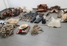 Carabineros detiene a tres sujetos tras robo de aperos avaluados en más de $25 millones en la provincia de Curicó Carabineros Detiene A Tres Sujetos Tras Robo De Aperos Avaluados En Mas De 25 Millones En La Provincia De Curico 1