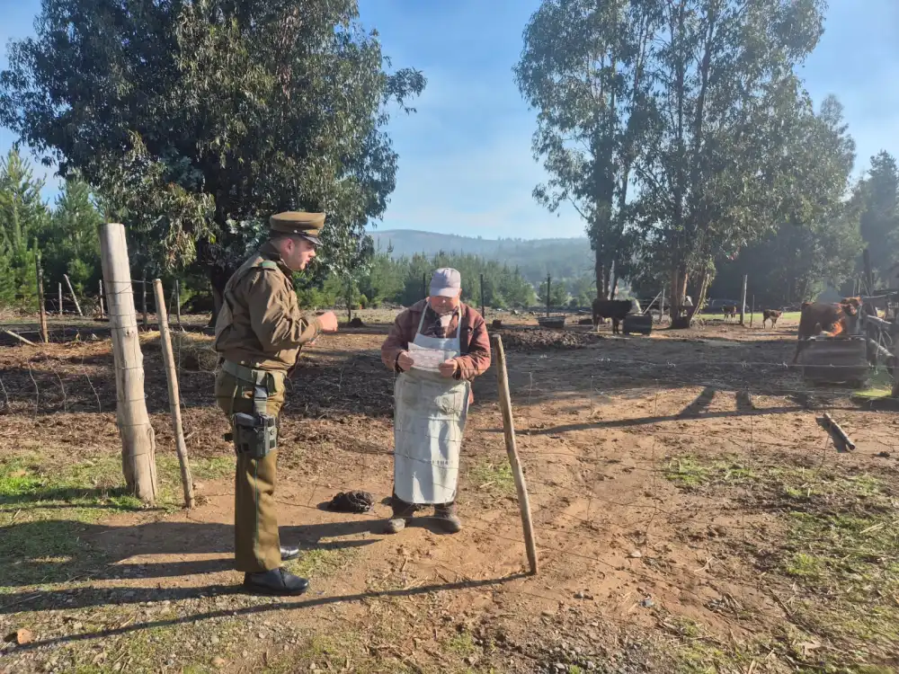 Carabineros Refuerza Medidas Preventivas Para Evitar El Abigeato En Sectores Rurales De Cauquenes