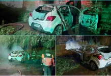 Conductor que huía de Carabineros chocó contra una vivienda y vehículo terminó incendiado en Curicó (Video) Conductor Que Huia De Carabineros Choco Contra Una Vivienda Y Vehiculo Termino Incendiado En Curico