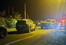 Dos detenidos tras persecución policial por robo de placas patentes en Teno Dos Detenidos Tras Persecucion Policial Por Robo De Placas Patentes En Teno