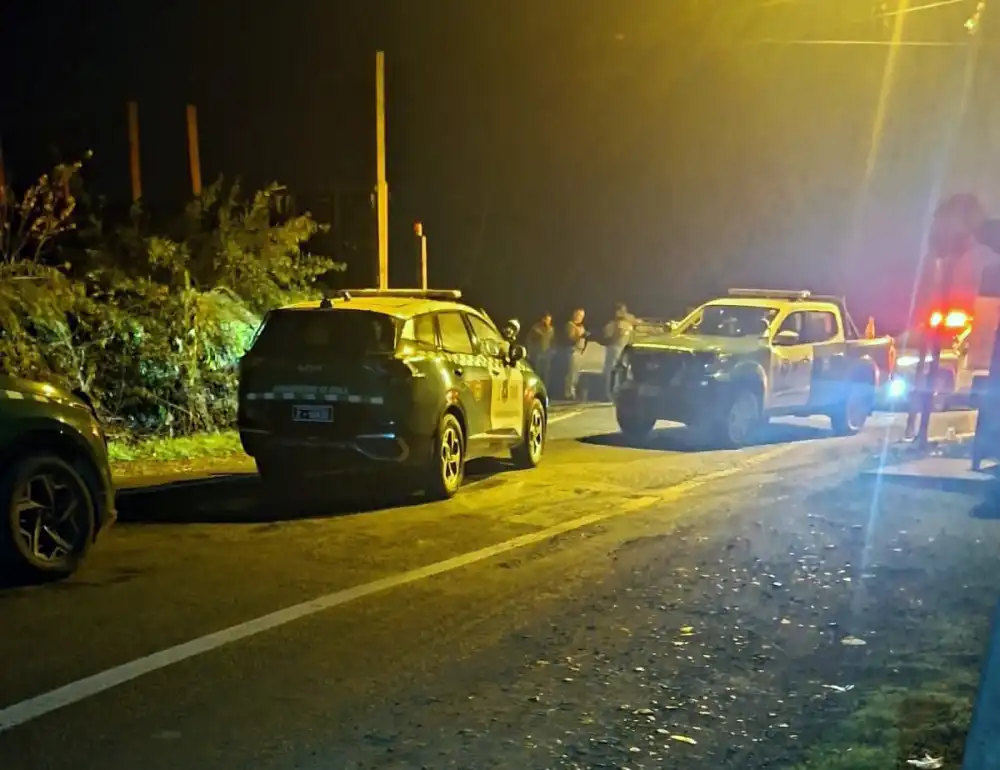 Dos Detenidos Tras Persecucion Policial Por Robo De Placas Patentes En Teno