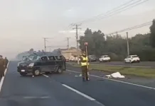 Dos Fallecidos Y Seis Heridos Graves Deja Volcamiento De Furgon Con Trabajadores En San Rafael