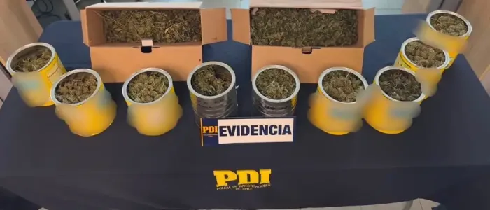 Dos Personas Detenidas Por Delitos Asociados Al Trafico De Drogas En Linares 1