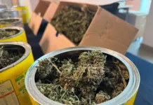 Dos personas detenidas por delitos asociados al tráfico de drogas en Linares Dos Personas Detenidas Por Delitos Asociados Al Trafico De Drogas En Linares