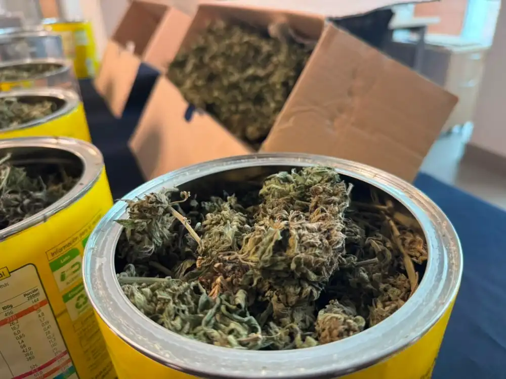 Dos Personas Detenidas Por Delitos Asociados Al Trafico De Drogas En Linares