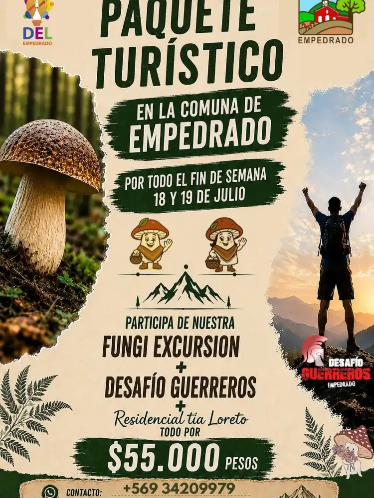 Empedrado Afina Los Preparativos Para La Fiesta Del Hongo Silvestre Con Gastronomia Concursos Y Actividades Familiares 2 Empedrado Afina Los Preparativos Para La Fiesta Del Hongo Silvestre Con Gastronomia Concursos Y Actividades Familiares 2