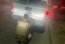 Extranjero Detenido En Rancagua Conducia Vehiculo Robado Con Patentes Falsificadas