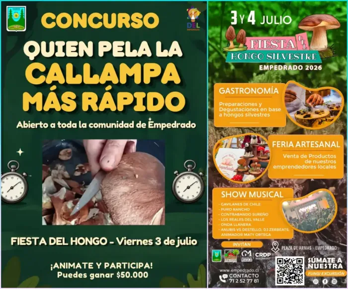 Fiesta Del Hongo Silvestre Sumara Gastronomia Concursos Musica En Vivo Y Feria Artesanal En Empedrado 1 Fiesta Del Hongo Silvestre Sumara Gastronomia Concursos Musica En Vivo Y Feria Artesanal En Empedrado 1