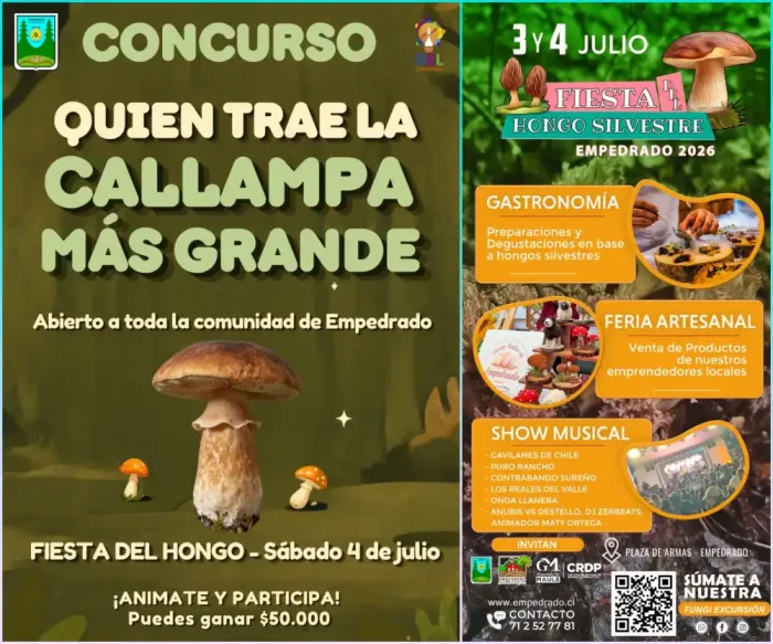 Fiesta Del Hongo Silvestre Sumara Gastronomia Concursos Musica En Vivo Y Feria Artesanal En Empedrado 2 Fiesta Del Hongo Silvestre Sumara Gastronomia Concursos Musica En Vivo Y Feria Artesanal En Empedrado 2