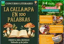 Fiesta Del Hongo Silvestre Sumara Gastronomia Concursos Musica En Vivo Y Feria Artesanal En Empedrado