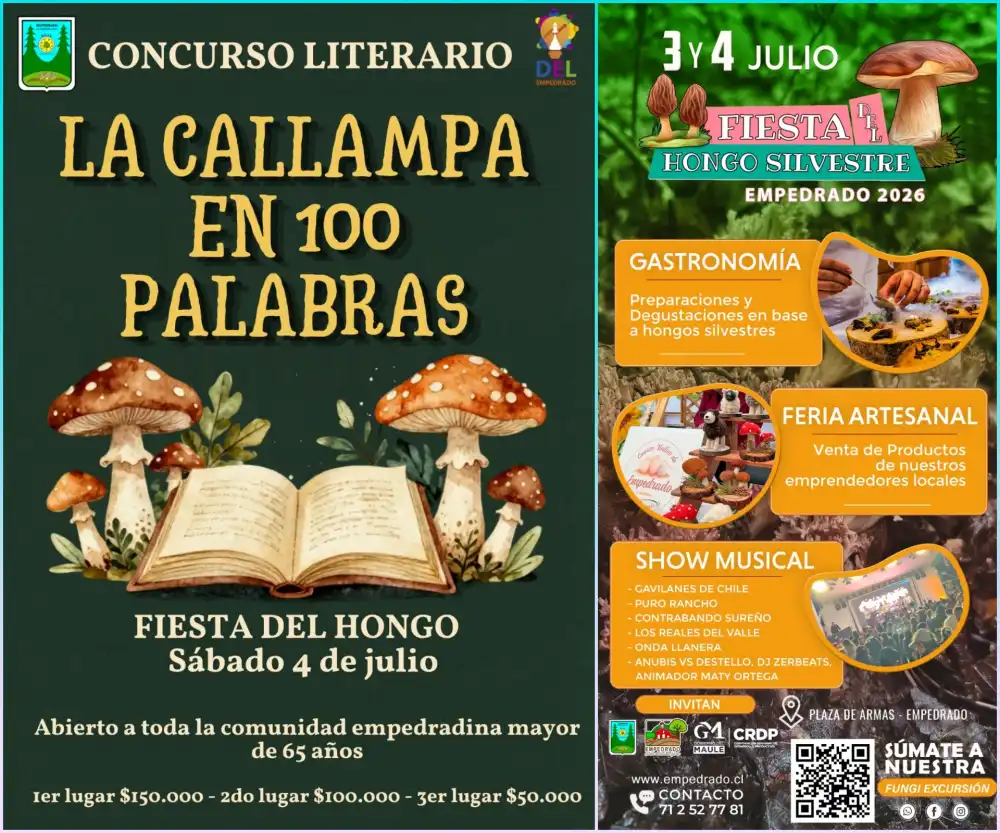 Fiesta Del Hongo Silvestre Sumara Gastronomia Concursos Musica En Vivo Y Feria Artesanal En Empedrado