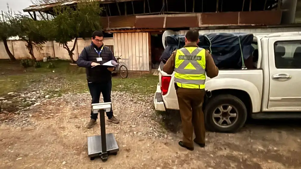 Fiscalizacion Vehicular Termina Con Millonaria Incautacion De Merluza En Licanten