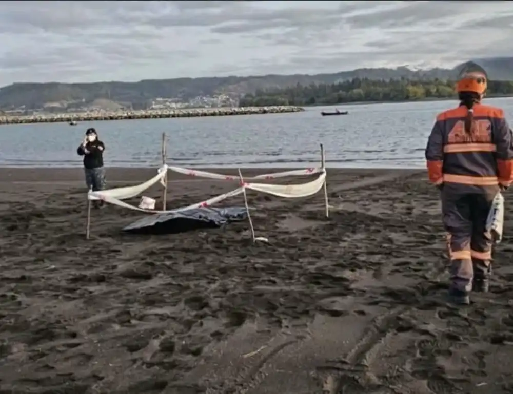 Hallan Cuerpo De Un Hombre En Quivolgo Pericias Determinaran Si Corresponde A Pescador Desaparecido
