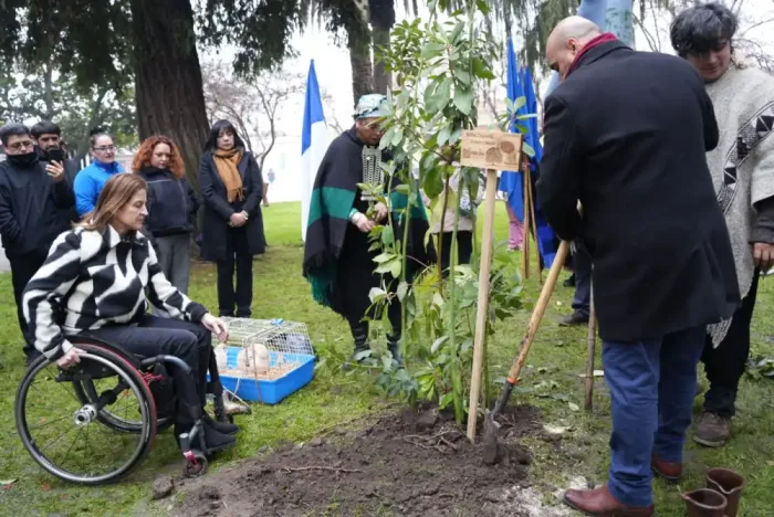 Molina Conmemoro El Winol Tripantu Y Fortalecio Su Compromiso Con La Salud Intercultural 1 Molina Conmemoro El Winol Tripantu Y Fortalecio Su Compromiso Con La Salud Intercultural 1