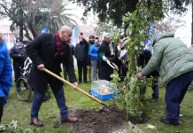 Molina Conmemoro El Winol Tripantu Y Fortalecio Su Compromiso Con La Salud Intercultural
