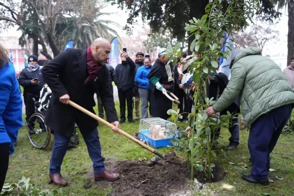 Molina Conmemoro El Winol Tripantu Y Fortalecio Su Compromiso Con La Salud Intercultural