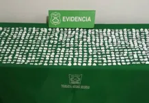 Mujer Fue Detenida Portando Mas De 700 Dosis De Pasta Base De Cocaina En Curico