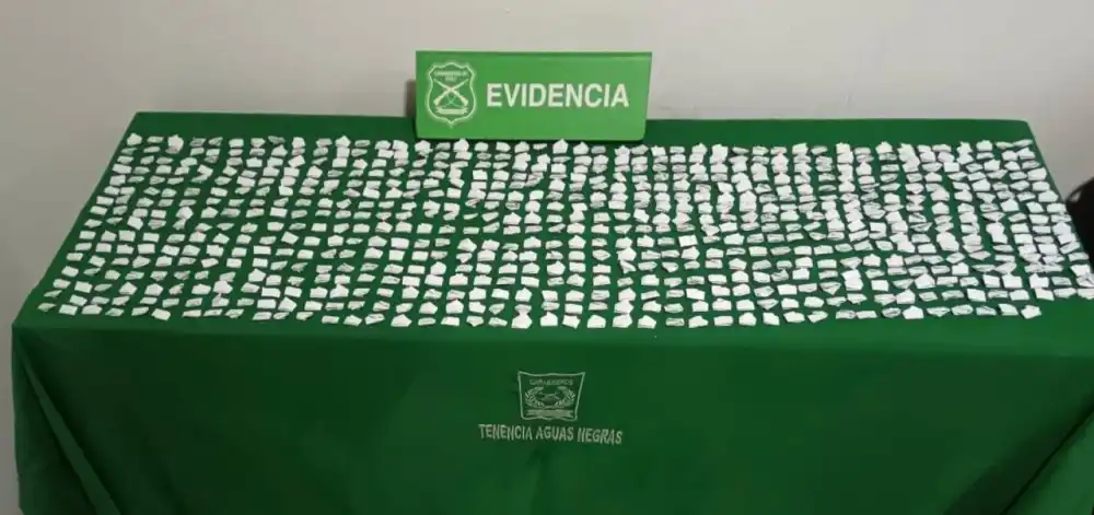 Mujer Fue Detenida Portando Mas De 700 Dosis De Pasta Base De Cocaina En Curico