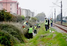 Municipio De Curico Mantiene Operativo De Limpieza De Canales Y Sitios Abandonados Para Prevenir Inundaciones