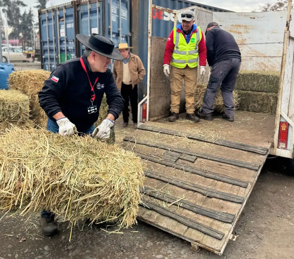 Municipio De Romeral Entrega Fardos A Productores Agricolas Y Ganaderos Para Enfrentar Temporada Invernal 1