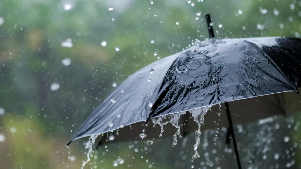Lluvia - Paraguas
