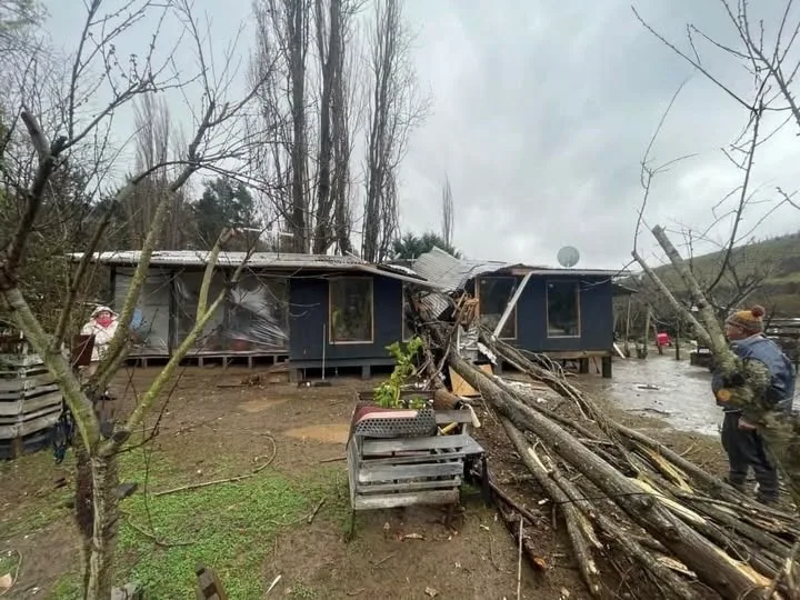 Caida De Arbol Deja Una Vivienda Con Graves Danos En Navidad Por Sistema Frontal