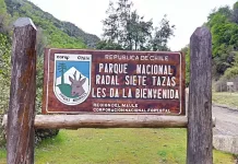 Cierre Preventivo De Parques Nacionales Y Reservas Del Maule Por Sistema Frontal