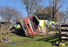 Comandante De Bomberos Dio Positivo Al Alcotest Tras Fatal Accidente Que Dejo Una Voluntaria Fallecida En La Araucania