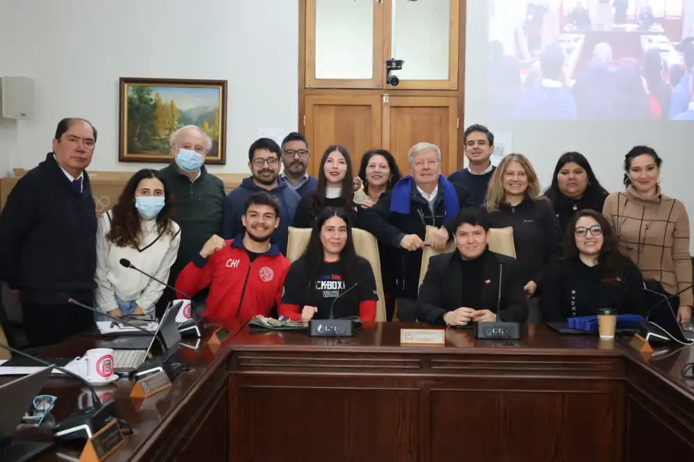 Concejo Municipal De Curico Aprueba Subvenciones Para Organizaciones Sociales Y Deportistas De Alto Rendimiento