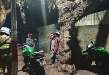 Controles Reforzados Dejan Mas De 200 Fiscalizaciones Durante Ronda Extraordinaria En Teno 1