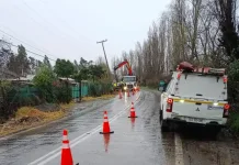 Cooperativa Electrica Curico Avanza En La Reposicion Del Suministro Tras Cortes Provocados Por El Sistema Frontal