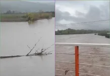 Declaran Alerta Amarilla Para Licanten Y Curepto Por Aumento Del Caudal Del Rio Mataquito