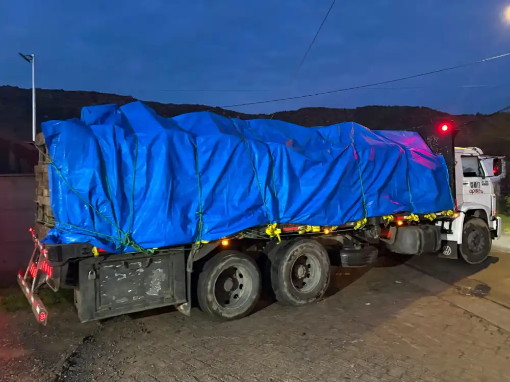 Detienen A Dos Personas Por Receptacion Tras Hallazgo De Camion Con 600 Cajas De Carne En Pichidegua 1