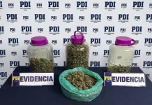 Detienen a sujeto por tráfico de drogas en Molina: distribuía cannabis mediante modalidad delivery Detienen A Sujeto Por Trafico De Drogas En Molina Distribuia Cannabis Mediante Modalidad Delivery