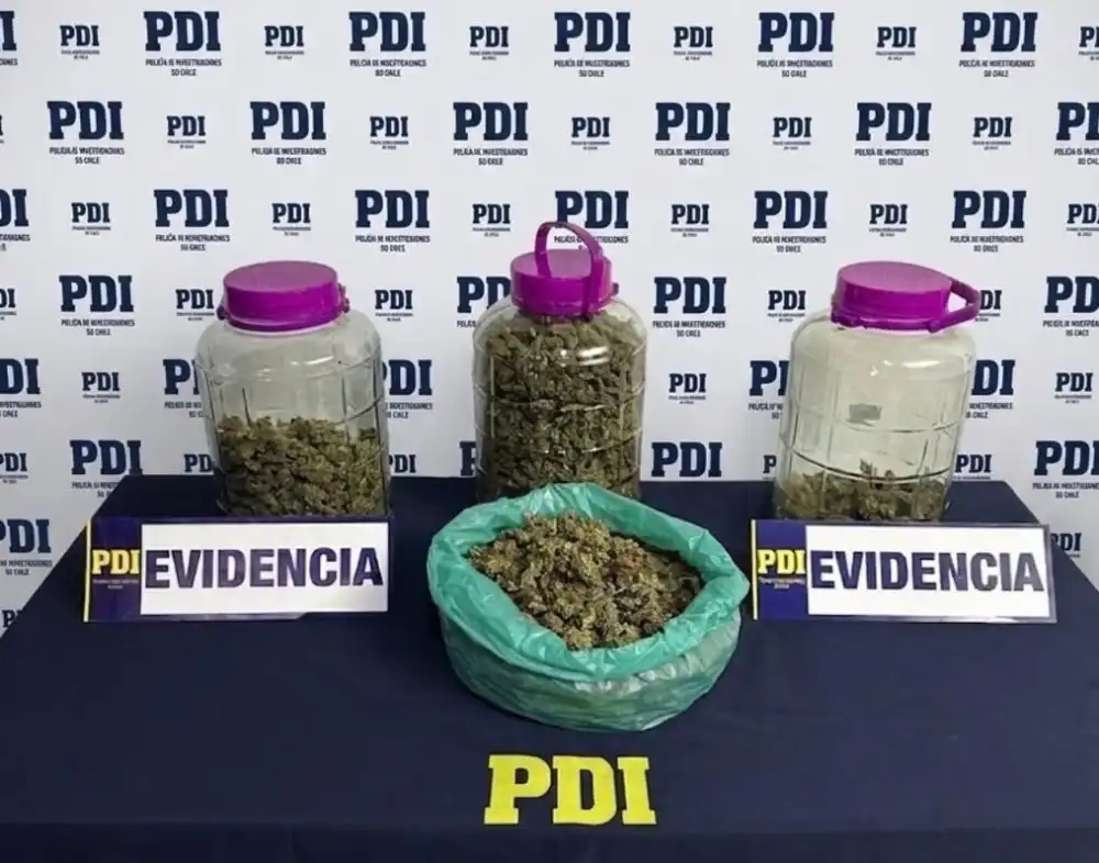 Detienen A Sujeto Por Trafico De Drogas En Molina Distribuia Cannabis Mediante Modalidad Delivery