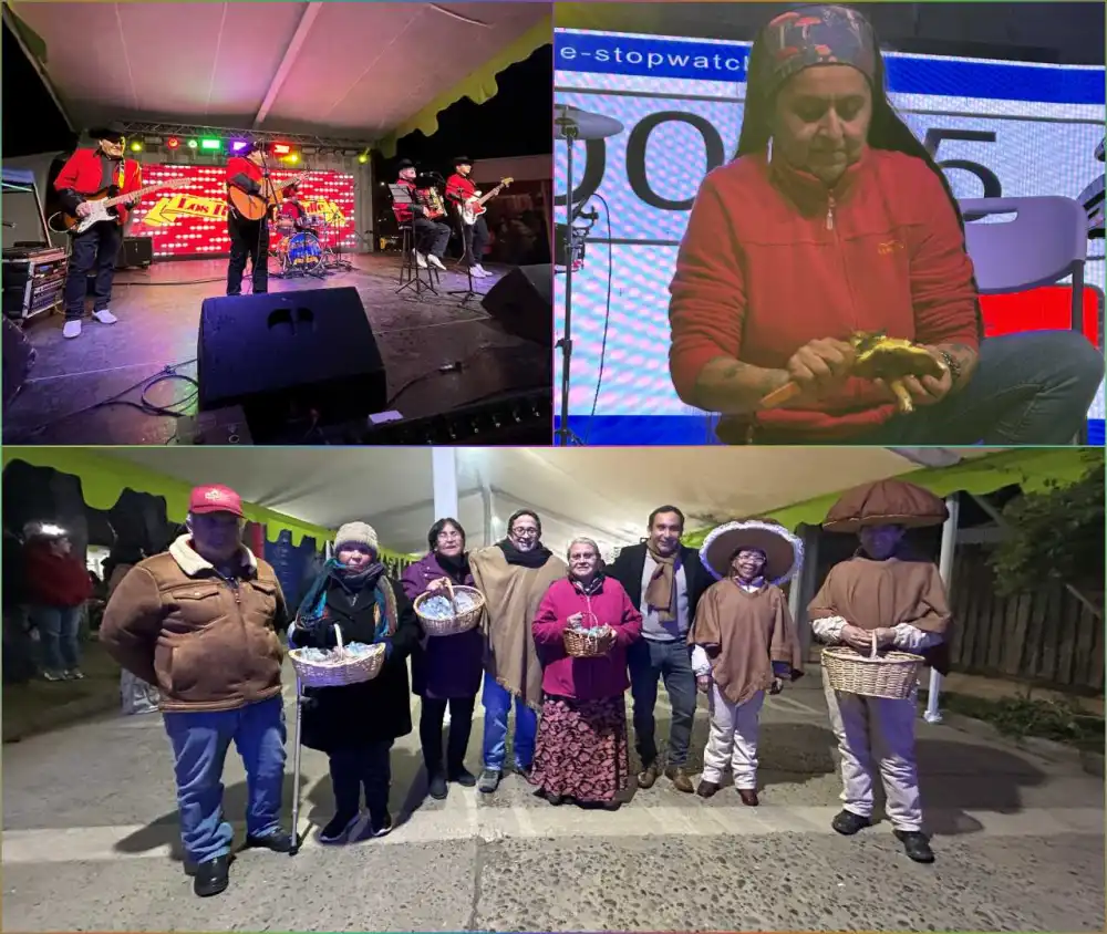 Fiesta Del Hongo Silvestre Consolido A Empedrado Como Un Atractivo Turistico Del Invierno En El Maule