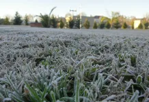 Fríos y heladas continuarán en las regiones del Maule y O’Higgins: temperaturas llegarán hasta los -4°C Frios Y Heladas Continuaran En Las Regiones Del Maule Y Ohiggins Temperaturas Llegaran Hasta Los 4c